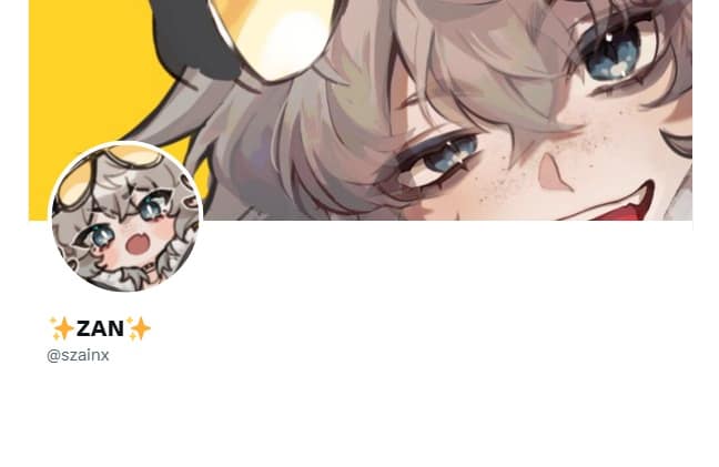 https://x.com/szainx