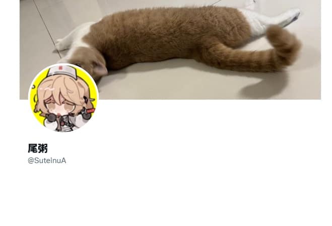 https://x.com/SuteinuA